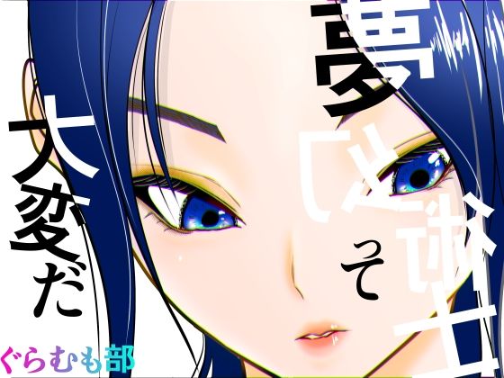 【フル同人】夢幻術士って大変だ｜d_741549