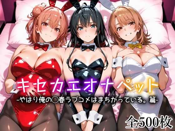 【フル同人】キセカエオナペット -やはり俺の◯春ラブコメはまちがっている篇-｜d_754212