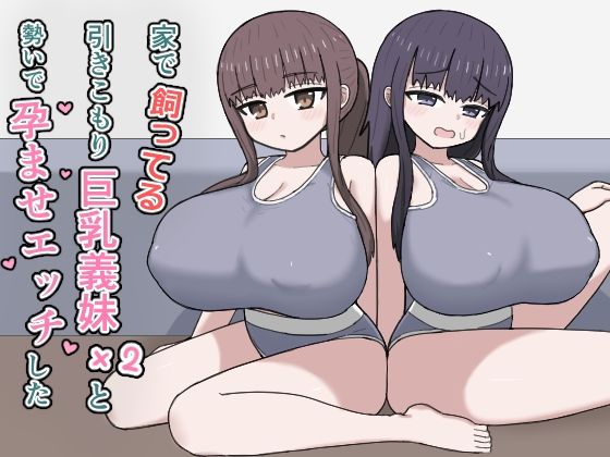 【フル同人】家で飼ってる引きこもり巨乳義妹×2と勢いで孕ませエッチした｜d_764771